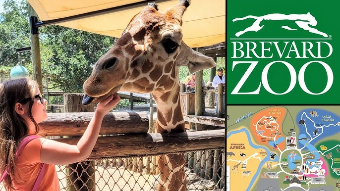 Brevard Zoo